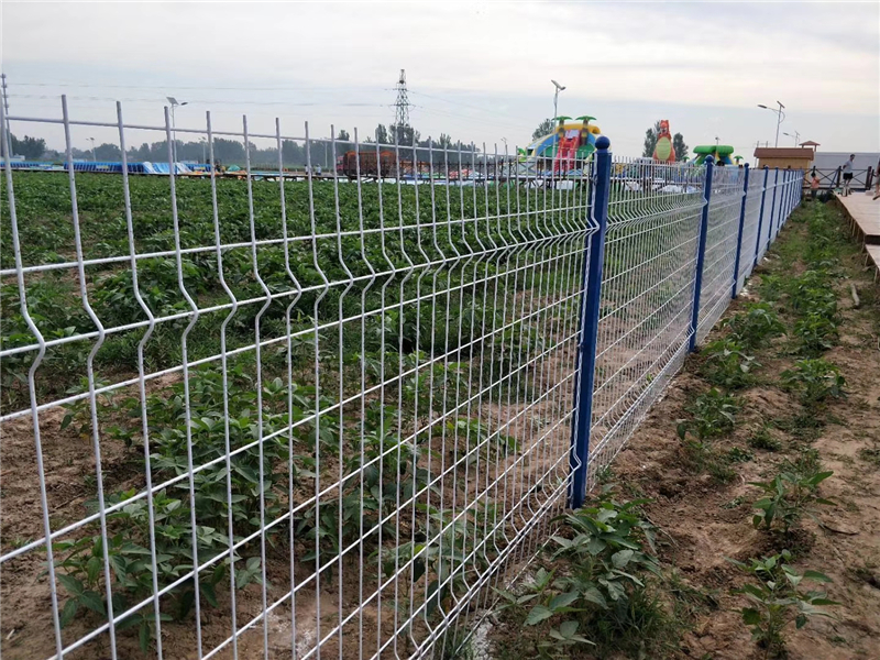 �ӱ���ƽˮ���Θ������ھW(w��ng)���b�F(xi��n)��