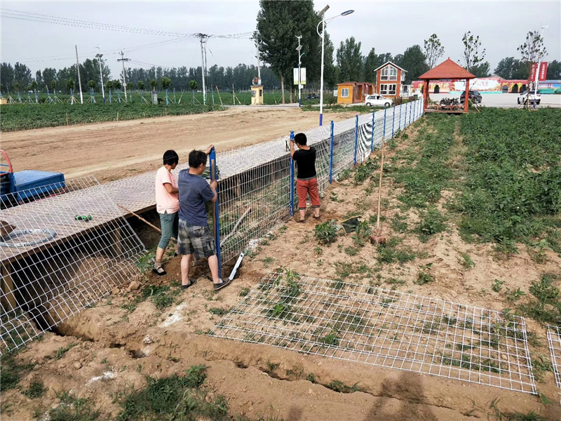 �ӱ���ƽˮ���Θ������ھW(w��ng)���b�F(xi��n)��