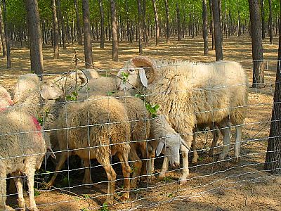 ��B(y��ng)��ռ���ھW(w��ng)���b����